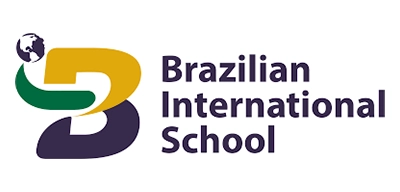 brazilian internacional